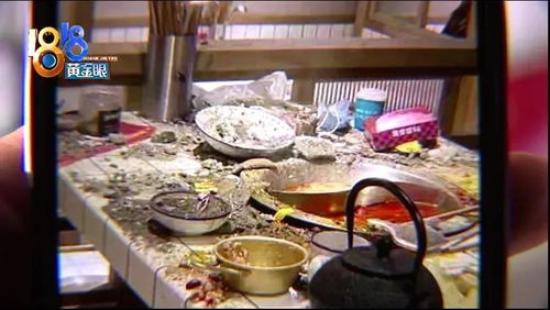 当明星光环遇上厨房污垢 知名男星火锅店后厨危机引发的行业反思